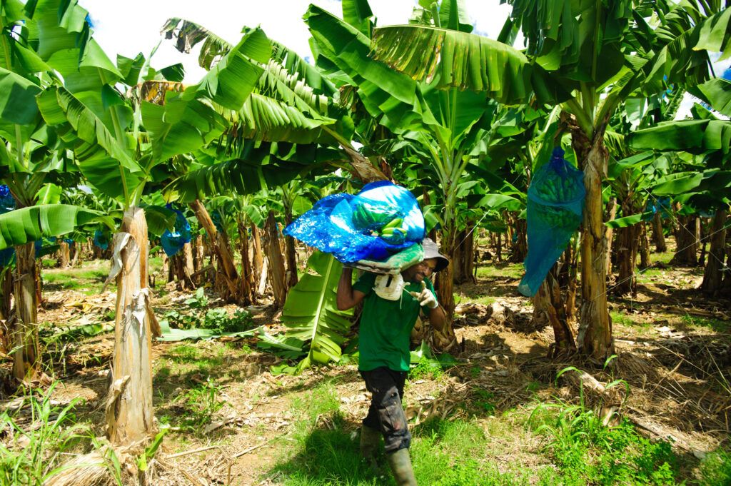 Visite Belfort Agriculture petit train Martinique