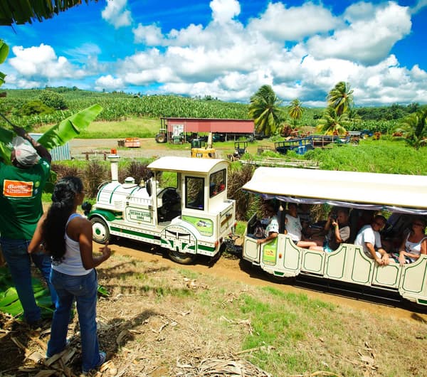 Visite en petit train